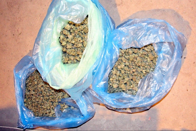 Csaknem 20 kiló drogot foglaltak le egy kozármislenyi férfitől