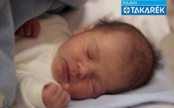 Majlinger Máté, Bősárkány