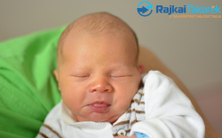 Borbély Zalán, 3220 gr. Bősárkány