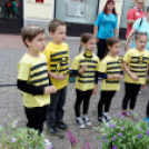 Apró kezek, csodakertek kertépítő verseny (Fotó: Horváth Attila)