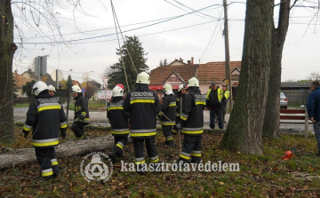 Sokoró mentőszervezet