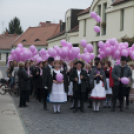 Egészség Hídja Összefogás - Lajtahidi séta