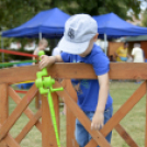 Városközpontiak Napja 2017