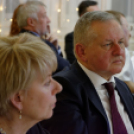 Virilista est 2015 Mosonmagyaróvár (Fotó: Horváth Attila)