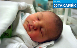 Családi Dorka, Mosonudvar