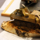 Moson Modell Show (Fotó: Stipkovits Veronika, Bánhegyi István)