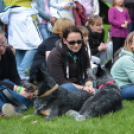 CAC kutyakiállítás (Fotó: Nagy Mária)