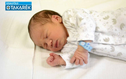 Ábrahám Árlen, Mosonmagyaróvár