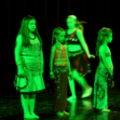 X. Jubileumi Hastánc Gála (Fotó: Bánhegyi István)