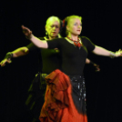 Ünnepi gálaműsor a tánc világnapja tiszteletére - Szigeti Gábor táncpedagógus emlékére