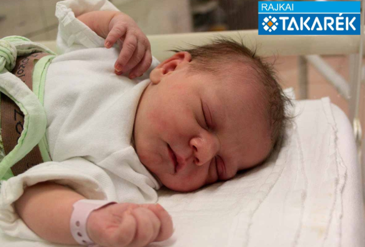 Szokolics Zoé, Ásványráró