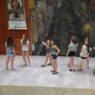 Nyárcsalogató (Fotó: Nagy Mária)