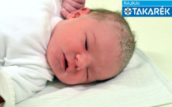 Majlinger Bianka, Bősárkány