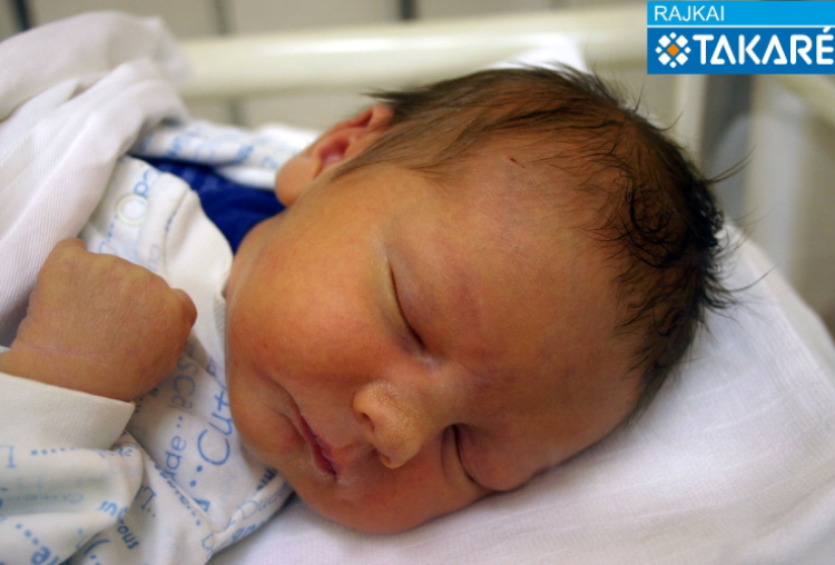 Kovács Patrik, Lébény