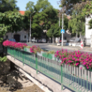 Virág lopások és rongálások Mosonmagyaróváron