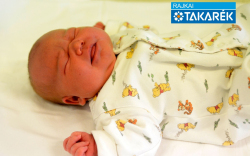 Sipos Aliz, Hegyeshalom