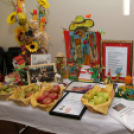 XIX. Mosonmagyaróvári Civil Nap 