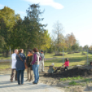 Faültetés a Nolato-nál (Fotó: Nagy Mária)