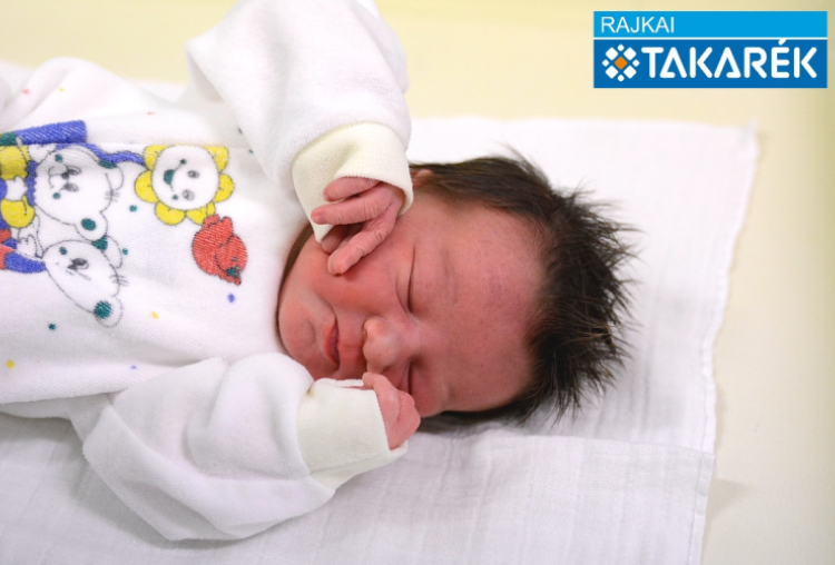 Gregus Balázs Gábor, Öttevény