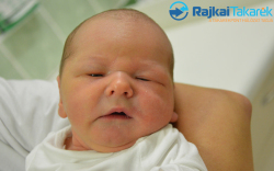 Ress Alex, 3740 gr. Dunakiliti