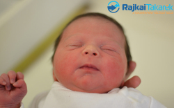 Bokori Lara, 2880 gr. Jánossomorja