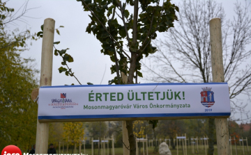 A teremtett világra vigyázni kell! - elindult a fásítási program Mosonmagyaróváron