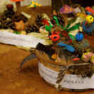 X. Jánossomorjai Tökfesztivál (Fotó: Horváth Attila)