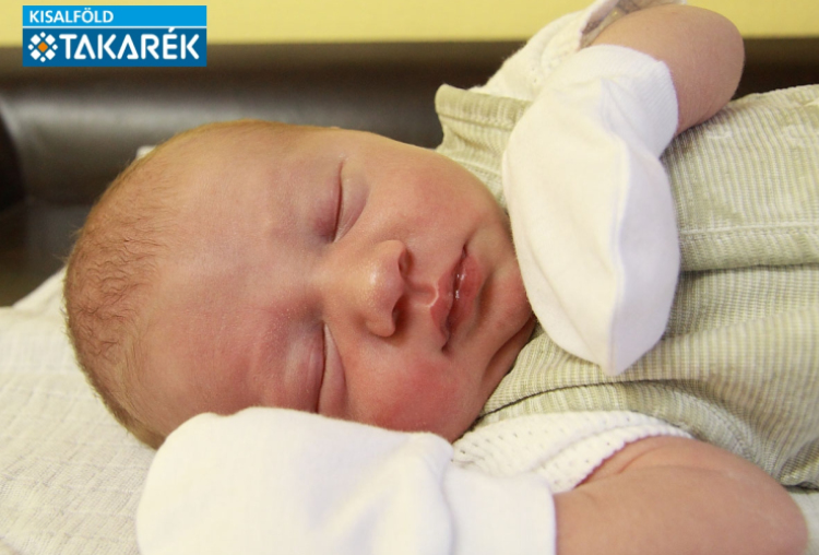 Gartner Benedek, Sopron