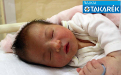 Pap László, Bősárkány