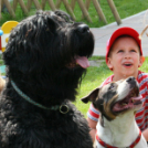 Az Ebuló Kutyaiskola interaktív kutyás bemutatója a Pillangó óvodában (Fotó: Stipkovits Veronika)