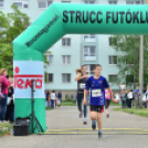 XII. Greiner Szigetköz Minimaraton (Fotó: Horváth Attila)