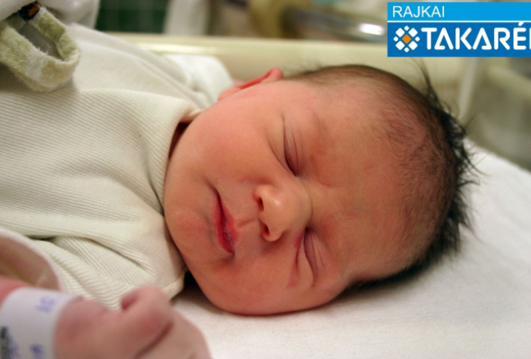 Koczán Regina, Hegyeshalom