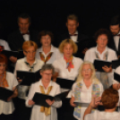 Jótékonysági műsor a Családok Átmeneti Otthona javára (Fotó: Nagy Mária)