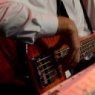 Moson Big Band koncert, Garden party