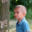 Pillangó Óvoda lovas nap és piknik (Fotó: Stipkovits Veronika)