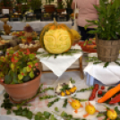 Termény- és virágkiállítás 