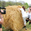 Parasztolimpia 2013 - 1 (Fotó: Nagy Mária)