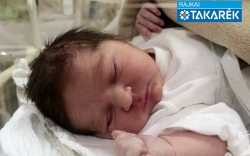 Domonkos Kornél, Mosonmagyaróvár