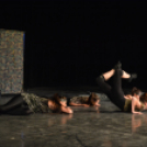 Városi sportnap 1 (Fotó: Nagy Mária)