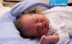 Cseresznyés Olivér, Máriakálnok