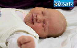 Zubán Nóra, Dunakiliti