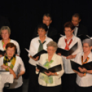 Jótékonysági műsor a Családok Átmeneti Otthona javára (Fotó: Nagy Mária)