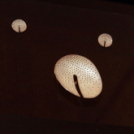 Moson Megyei Tárlat 2017 - Szigetköz Művésztelep 2017