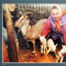 Szűk Ödön emlékkiállítás megnyítója