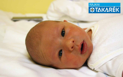 Winkler Ádin, Mosonmagyaróvár