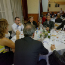 Virilista est 2015 Mosonmagyaróvár (Fotó: Horváth Attila)