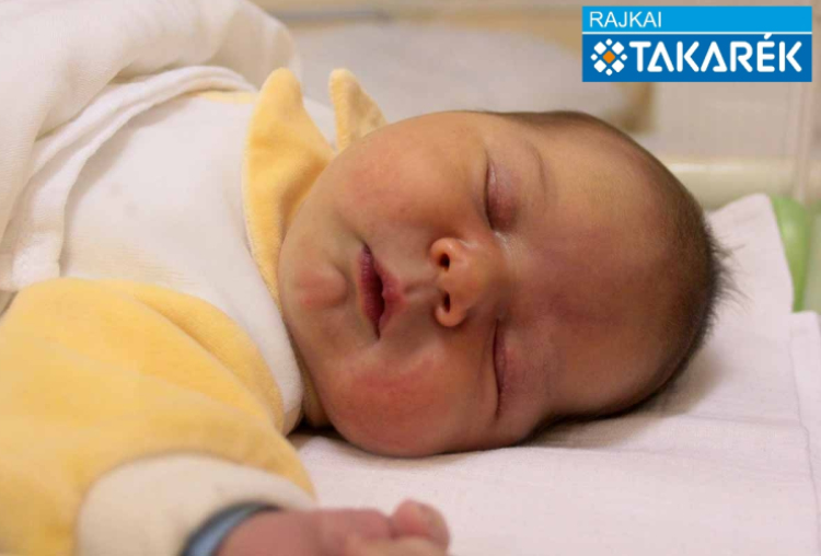 Szelle Tamás, Dunakiliti