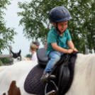 Pillangó Óvoda lovas nap és piknik (Fotó: Stipkovits Veronika)