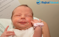 Szalai-Vargyas Klára, 3040 gr. Sopron