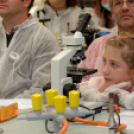 Kutatók éjszakája 2014 Nyugat-magyarországi Egyetem (Fotó: Horváth Attila)